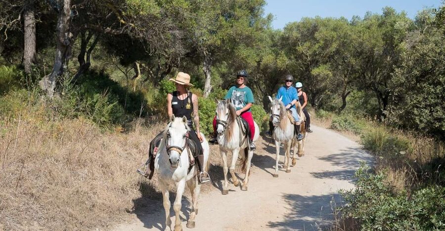 Mallorca: Horseback Riding Excursion and Wine Tasting - Key points to know before booking