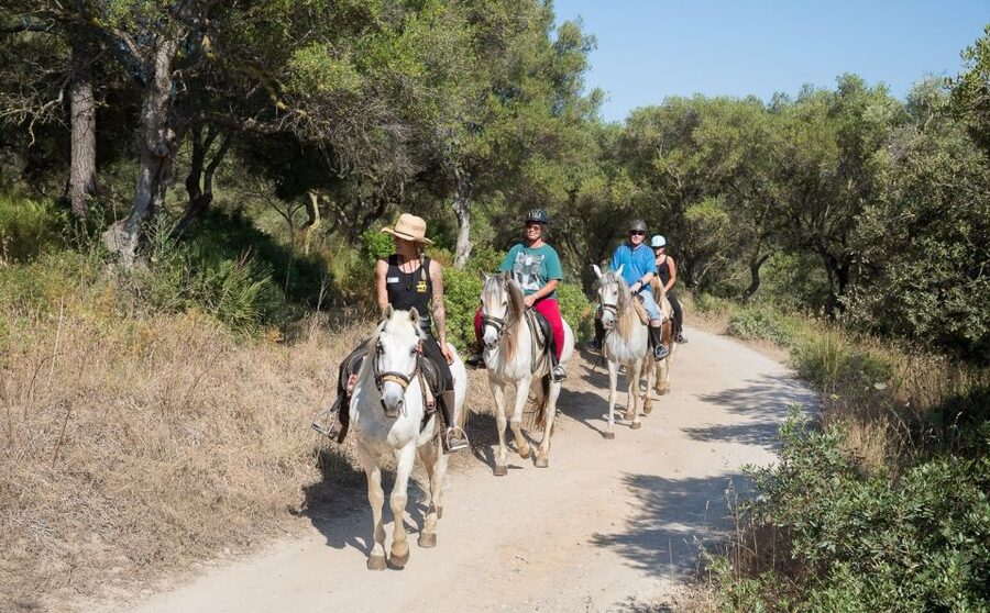Mallorca: Horseback Riding Excursion and Wine Tasting - A two-hour taste of rural Mallorca