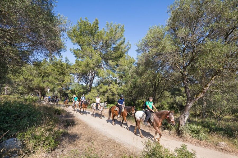Mallorca: Horseback Riding Excursion and Wine Tasting - The tasting with Miguel and Sally