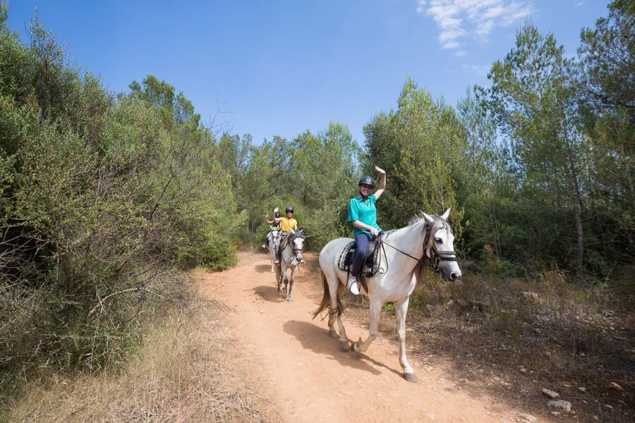 Mallorca: Horseback Riding Excursion and Wine Tasting - Who will enjoy this most