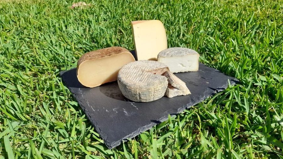 Mallorca: Local Wines & Foods Tasting - A one-hour introduction to Mallorca’s food cupboard