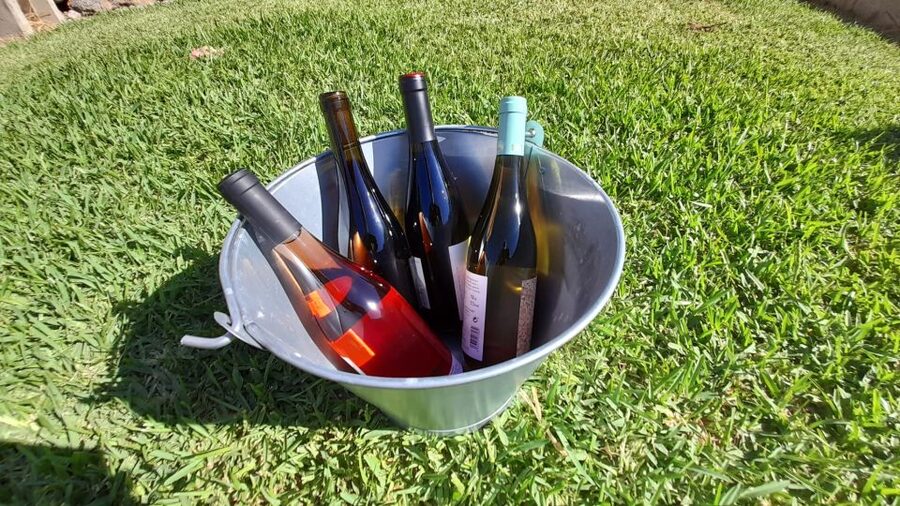 Mallorca: Local Wines & Foods Tasting - How the timing works in a northern Mallorca day