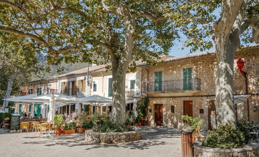 Mallorca: Premium Wine Experience, Tasting and Fine Foods - A small Sencelles winery with a big sense of place
