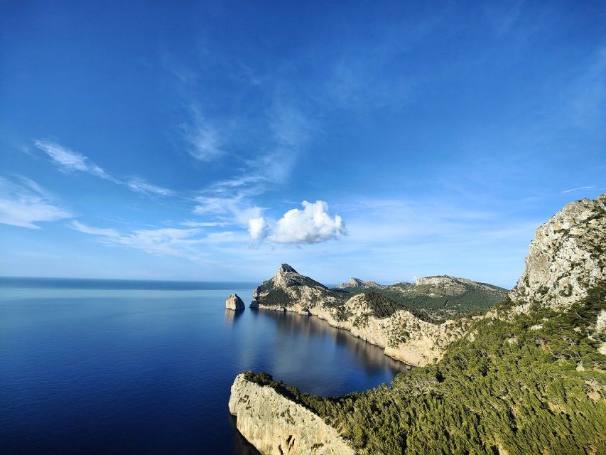 Mallorca: Premium Wine Experience, Tasting and Fine Foods - What happens during the 2 to 2.5-hour visit