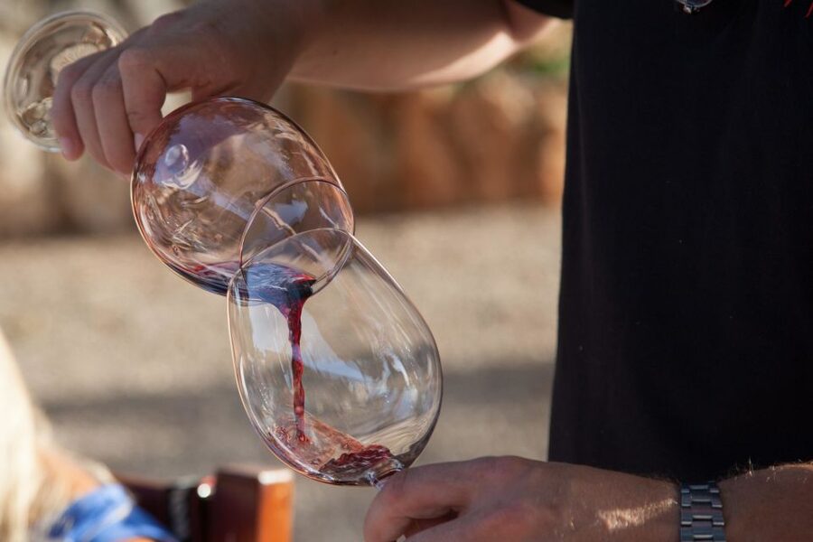 Mallorca: Private Wine Tour with Tasting and Picnic - The tasting: Mallorcan wine with tapas