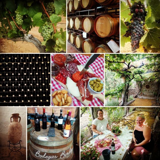 Mallorca: Private Wine Tour with Tasting and Picnic - Is $210 per person fair?