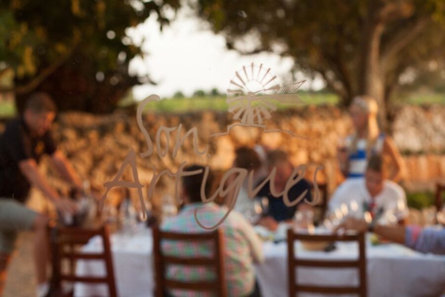 Mallorca: Private Wine Tour with Tasting and Picnic - Group size, timing, and practical limits