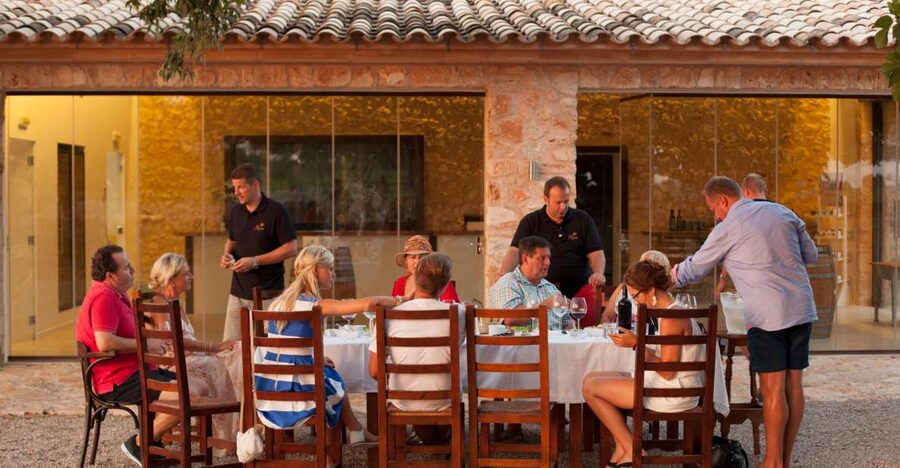Mallorca: Private Wine Tour with Tasting and Picnic - Who will enjoy this Mallorca wine tour?