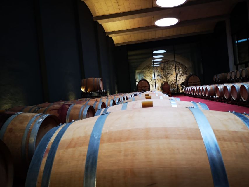 Mallorcas Emblematic Wineries Small Group Tour, two wineries - Key points at a glance