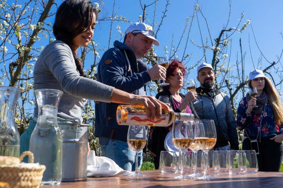 Mallorcas Emblematic Wineries Small Group Tour, two wineries - Who will enjoy this tour most