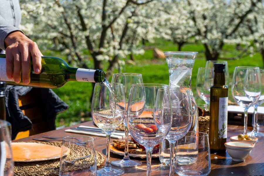 Mallorcas Emblematic Wineries Small Group Tour, two wineries - The drive from Palma to Santa Maria del Camí