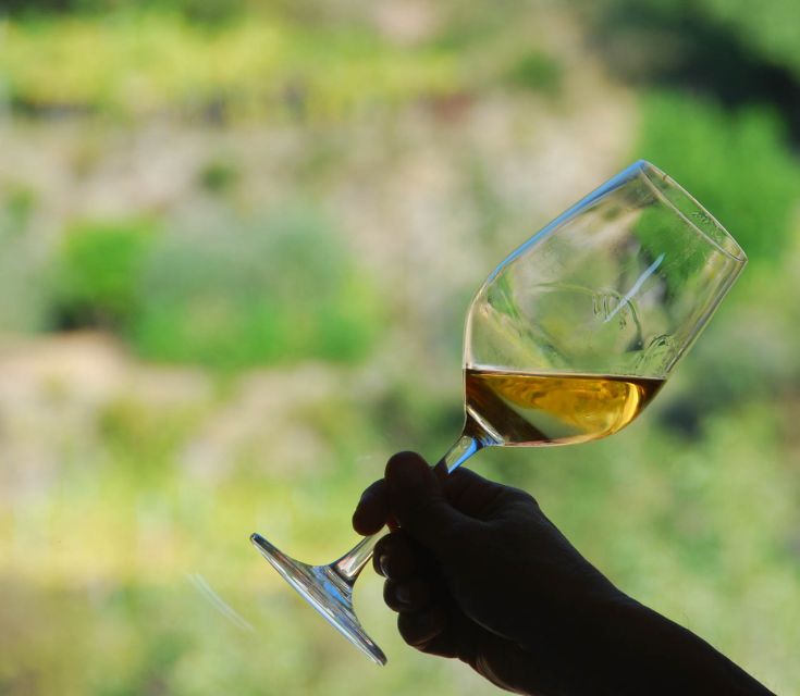 Manarola: Cinque Terre Wine Tasting - Key points to know before you book