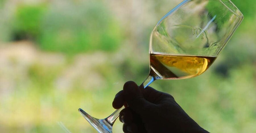 Manarola: Cinque Terre Wine Tasting - Second glass: a Cinque Terre red IGT