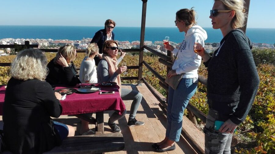 Manilva: Nilva Vineyard, Wine Tasting & Tapas Guided Tour - Key points to know before booking