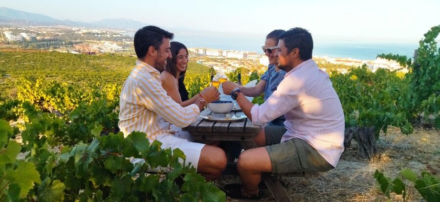 Manilva: Nilva Vineyard, Wine Tasting & Tapas Guided Tour - Why Manilva wine is worth your time