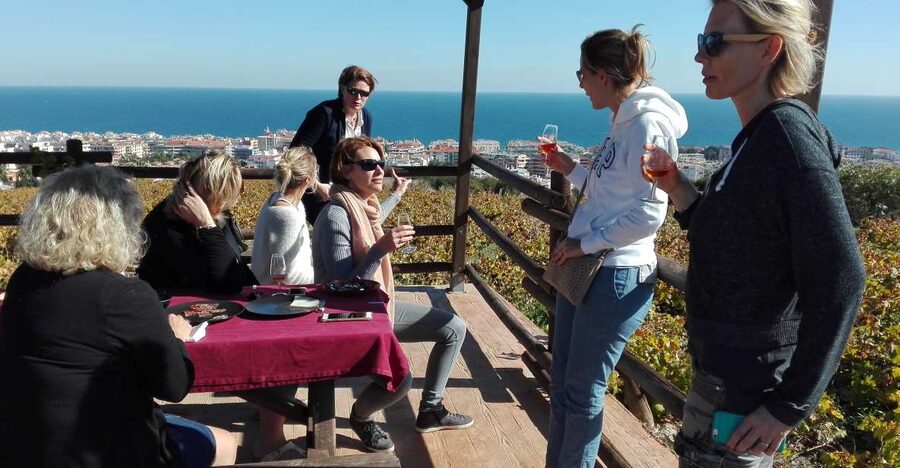 Manilva: Nilva Vineyard, Wine Tasting & Tapas Guided Tour - Inside the small Nilva winery