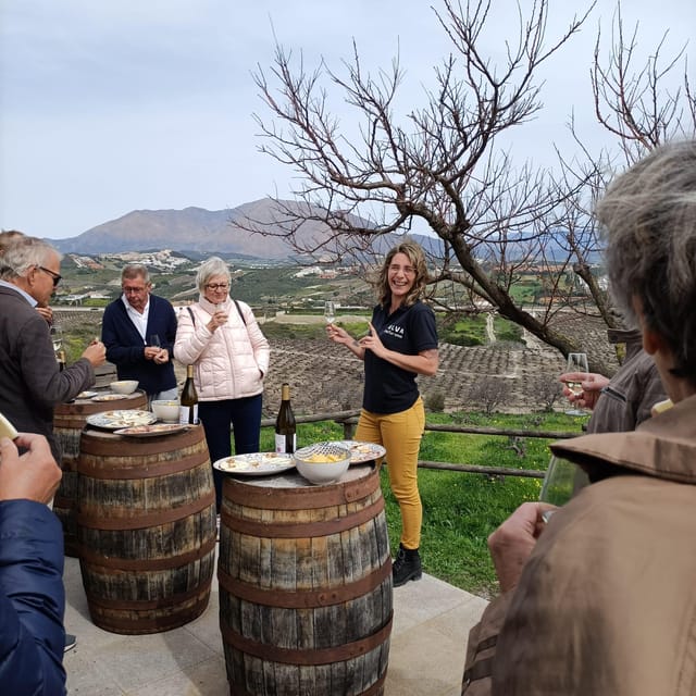 Manilva: Nilva Vineyard, Wine Tasting & Tapas Guided Tour - Reaching the Viña del Peñoncillo vineyard