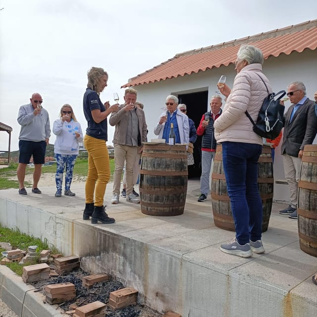 Manilva: Nilva Vineyard, Wine Tasting & Tapas Guided Tour - Tasting Nilva wines with tapas