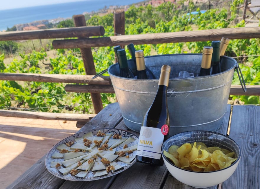 Manilva: Nilva Vineyard, Wine Tasting & Tapas Guided Tour - Who will enjoy this Manilva wine tour