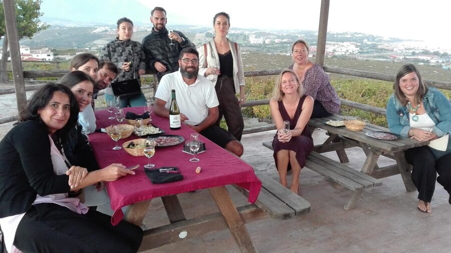 Manilva: Nilva Vineyard, Wine Tasting & Tapas Guided Tour - Should you book Nilva Enoturismo?