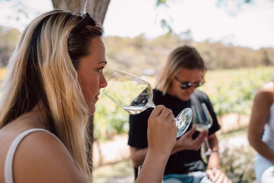 Margaret River: Boutique Wine Tour w. Blind Tasting + Lunch - Should you book Waves of Wine Tours?