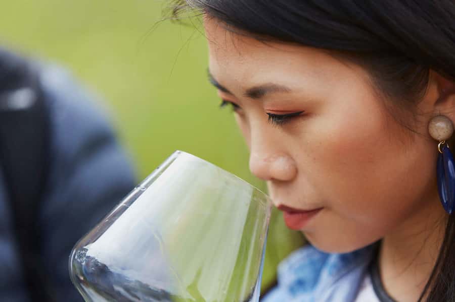 Margaret River: Full-Day Wine Tour - Why this tour works for more than wine drinkers