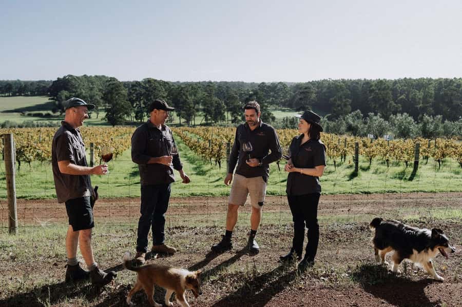 Margaret River: Full-Day Wine Tour - What the $123 price really includes