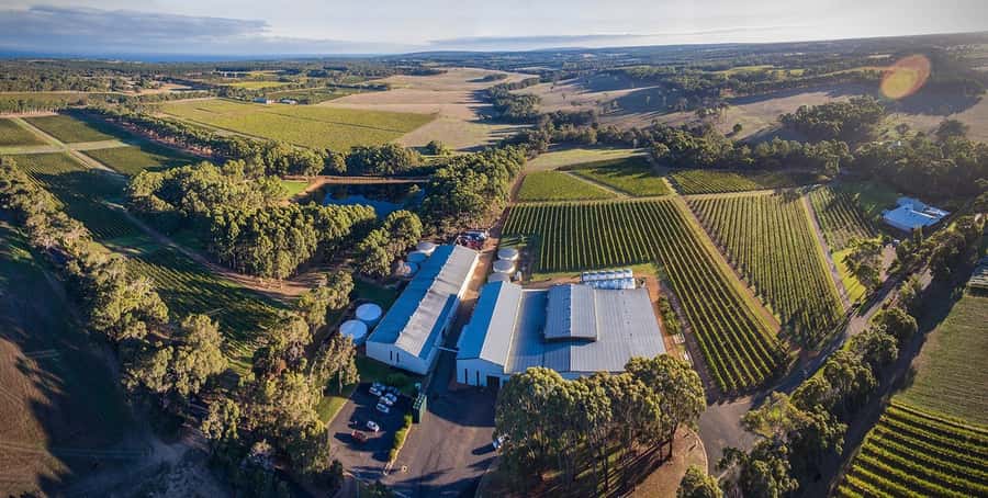 Margaret River: Full-Day Wine Tour - The morning begins with Yahava coffee