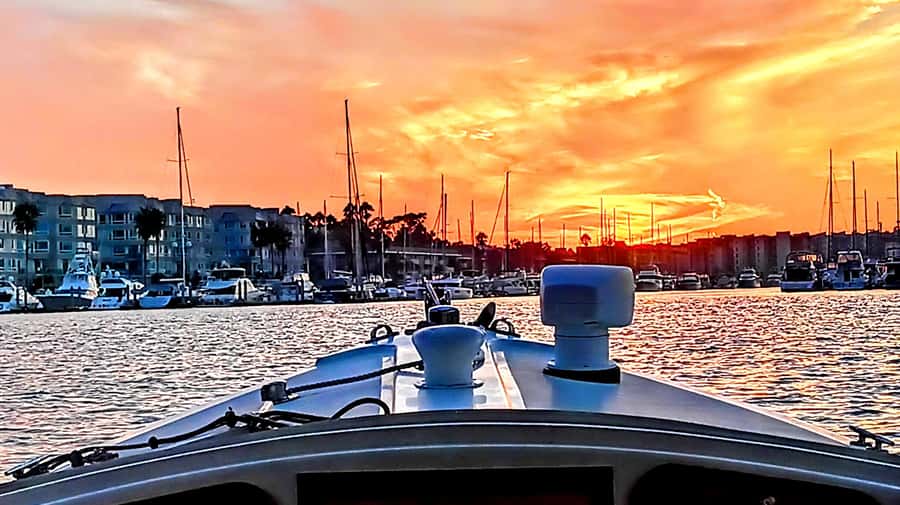 Marina Del Rey Luxury Boat Cruise Wine, Charcuterie Sealions - Key points to know before you book