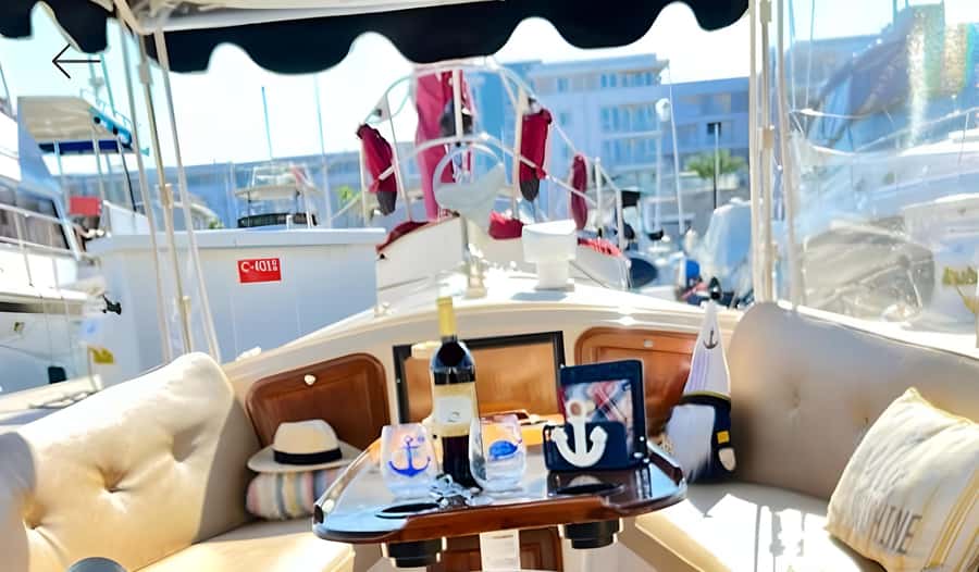 Marina Del Rey Luxury Boat Cruise Wine, Charcuterie Sealions - Sea lions, birds, and the small thrill of wildlife