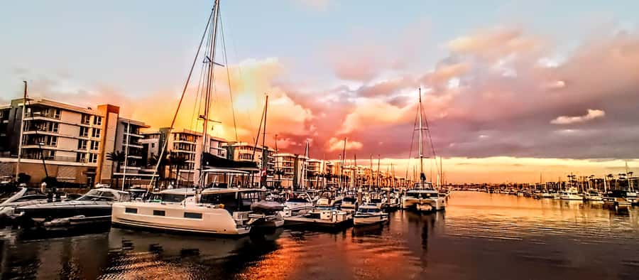 Marina Del Rey Luxury Boat Cruise Wine, Charcuterie Sealions - Sunset timing and the best reason to go in the evening