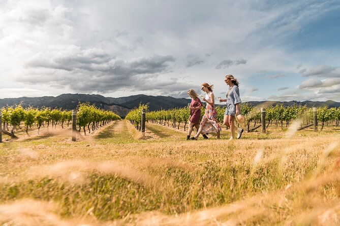 Marlborough Afternoon Wine Tour with Tastings - What the guided tastings add