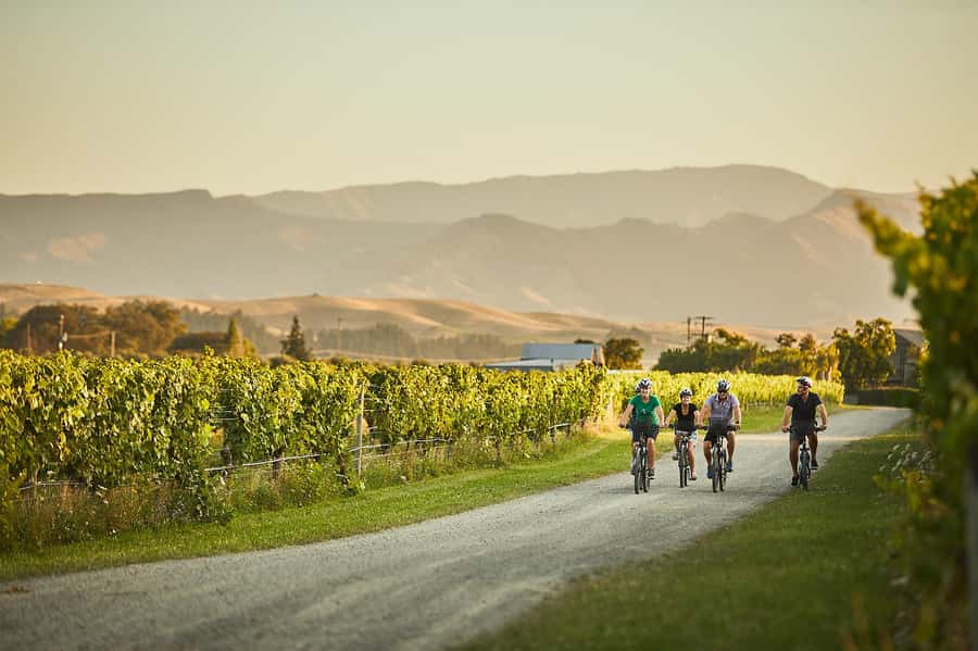 Marlborough: Full-Day Self-Guided Biking Wine Tour - Key points at a glance