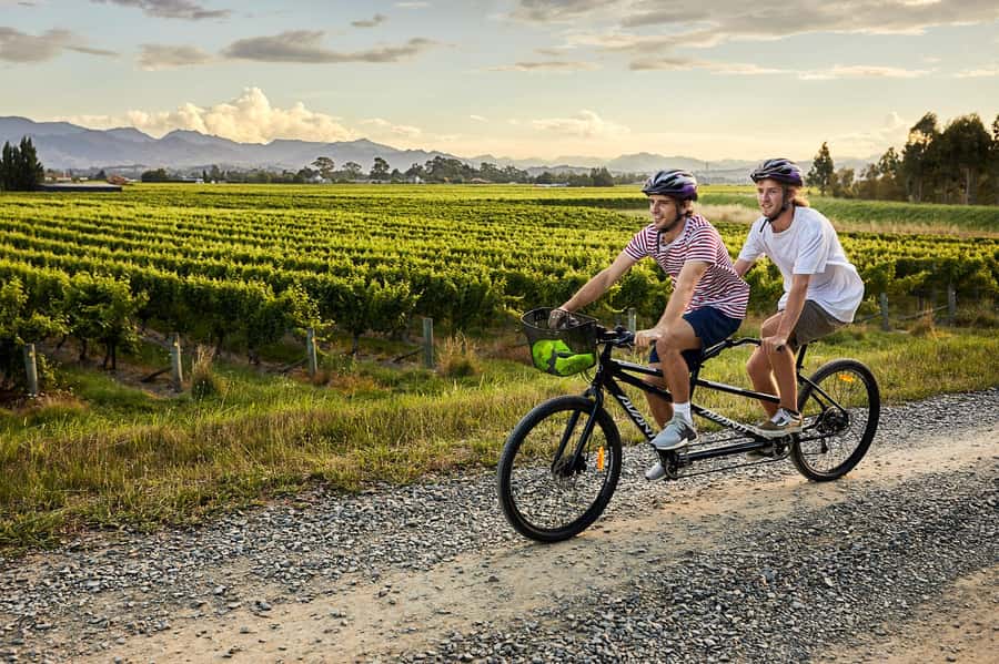 Marlborough: Full-Day Self-Guided Biking Wine Tour - Choosing between 12 nearby cellar doors