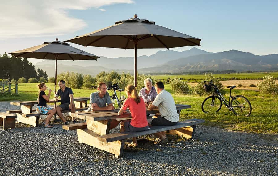 Marlborough: Full-Day Self-Guided Biking Wine Tour - The first pedal strokes through Marlborough’s vineyards