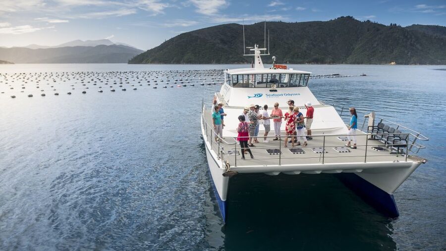 Marlborough: Full-Day Wine and Seafood Tour with Cruise - Three hours on Queen Charlotte Sound
