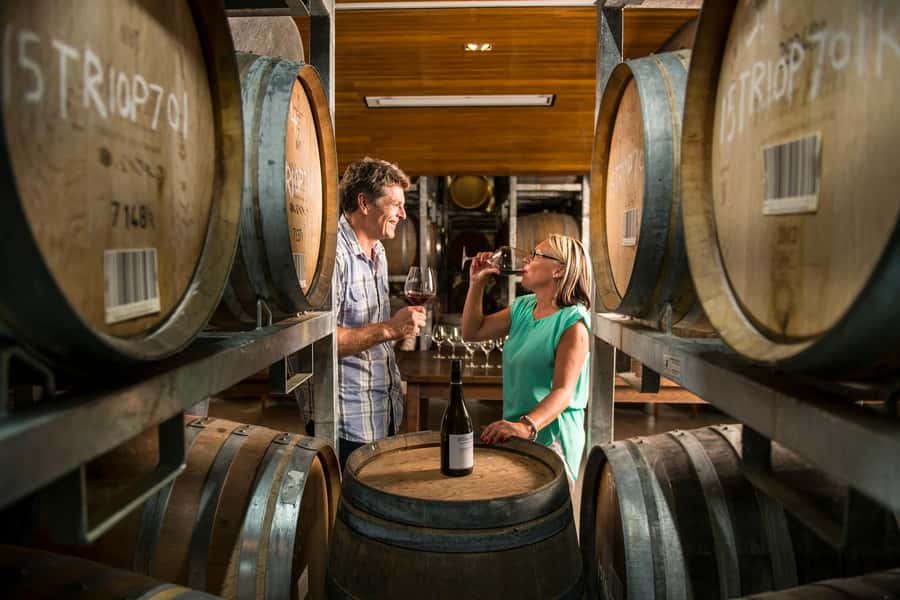Marlborough: Full-Day Wine and Seafood Tour with Cruise - How the group size affects the day