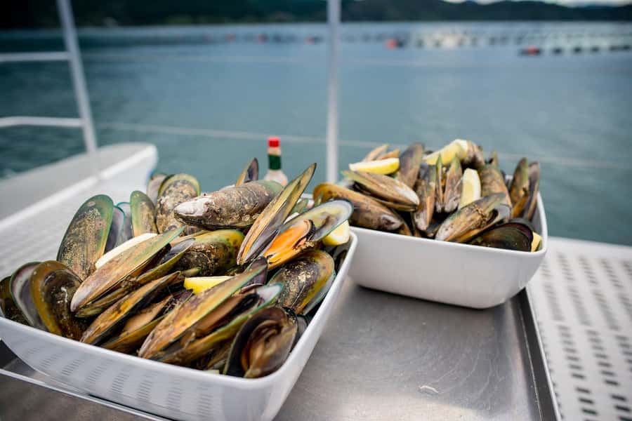 Marlborough: Full-Day Wine and Seafood Tour with Cruise - Two Marlborough wineries before noon