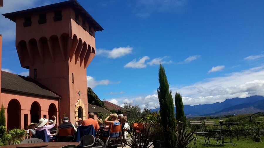 Marlborough Full Day Wine Tour - Lunch at a vineyard restaurant