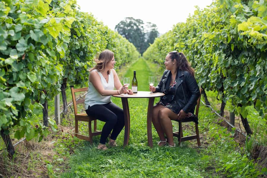 Marlborough Half Day Wine Tour From Blenheim 1.30pm - Why an Afternoon Among Marlborough’s Vines Works