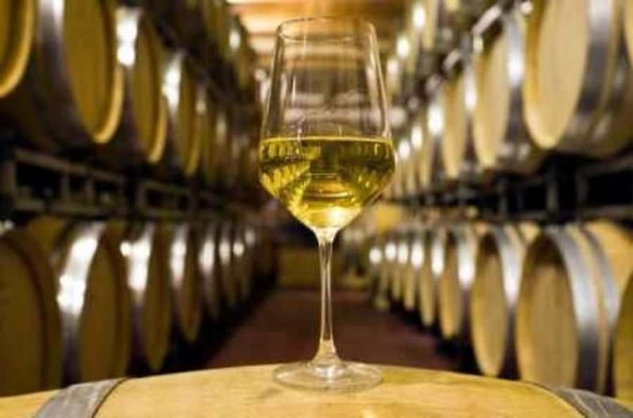 Marlborough Half-Day Wine Tour from Blenheim - Lunch at a cellar door is extra