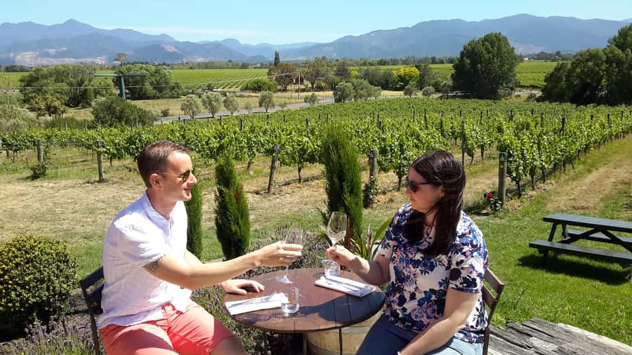 Marlborough Half-Day Wine Tour from Blenheim - Guides make the difference