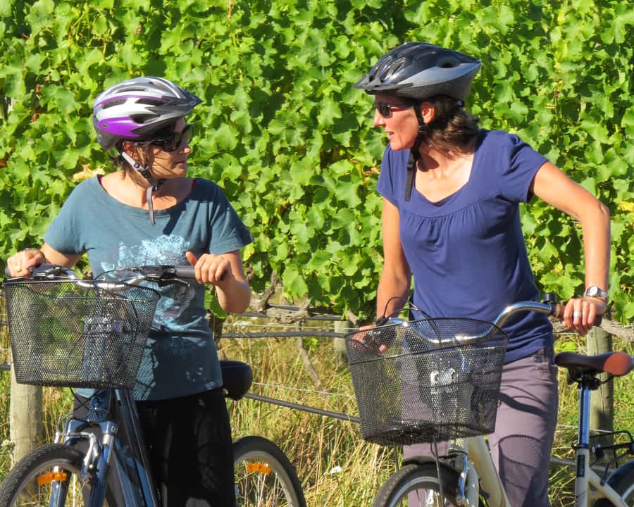 Marlborough: Half Guided and Half Self-Guided Bike Wine Tour - What the three winery stops add