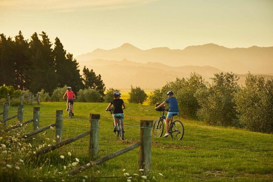 Marlborough: Half Guided and Half Self-Guided Bike Wine Tour - Who will enjoy this day most