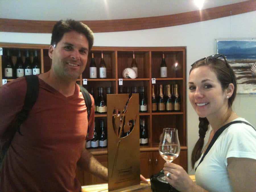 Marlborough: Half Guided and Half Self-Guided Bike Wine Tour - Booking details worth knowing