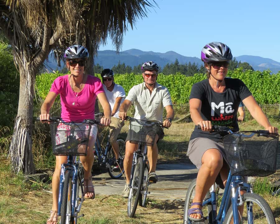 Marlborough: Half Guided and Half Self-Guided Bike Wine Tour - The morning ride through Marlborough’s vines