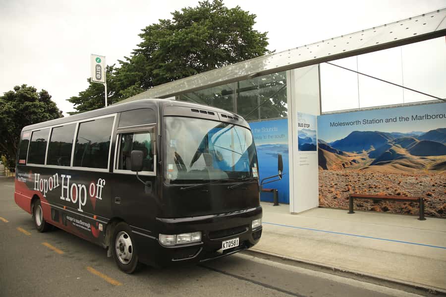 Marlborough: Hop-On Hop-Off Wine, Brewery, and Wonders Tour - Key points to know before you book