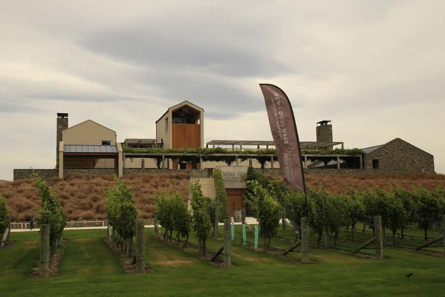 Marlborough: Hop-On Hop-Off Wine, Brewery, and Wonders Tour - Starting in Picton or Blenheim