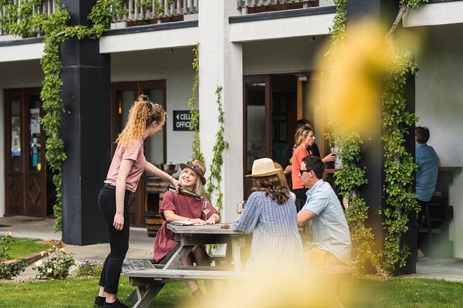 Marlborough Icons Tour - Wine tasting + Cruise - The morning route through Marlborough’s vineyards
