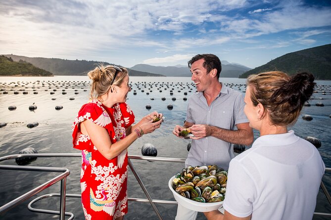 Marlborough Icons Tour - Wine tasting + Cruise - Cruising Queen Charlotte Sound with mussels and salmon